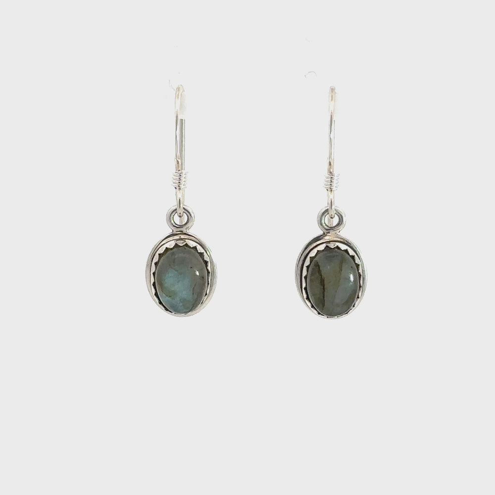 
                
                    Load and play video in Gallery viewer, Labradorite Ria earring in silver video.
                
            