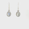Moonstone Ria Earrings video with white background.
