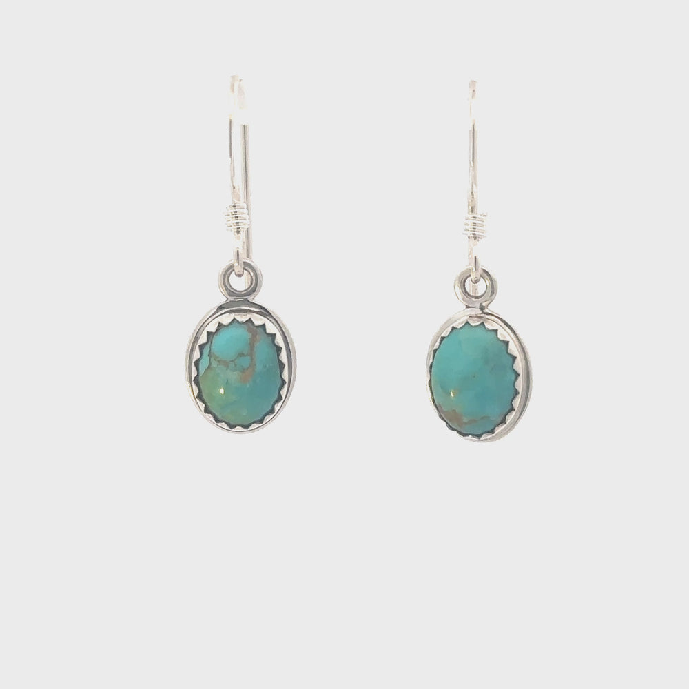 
                
                    Load and play video in Gallery viewer, Turquoise Ria earrings in silver video.
                
            
