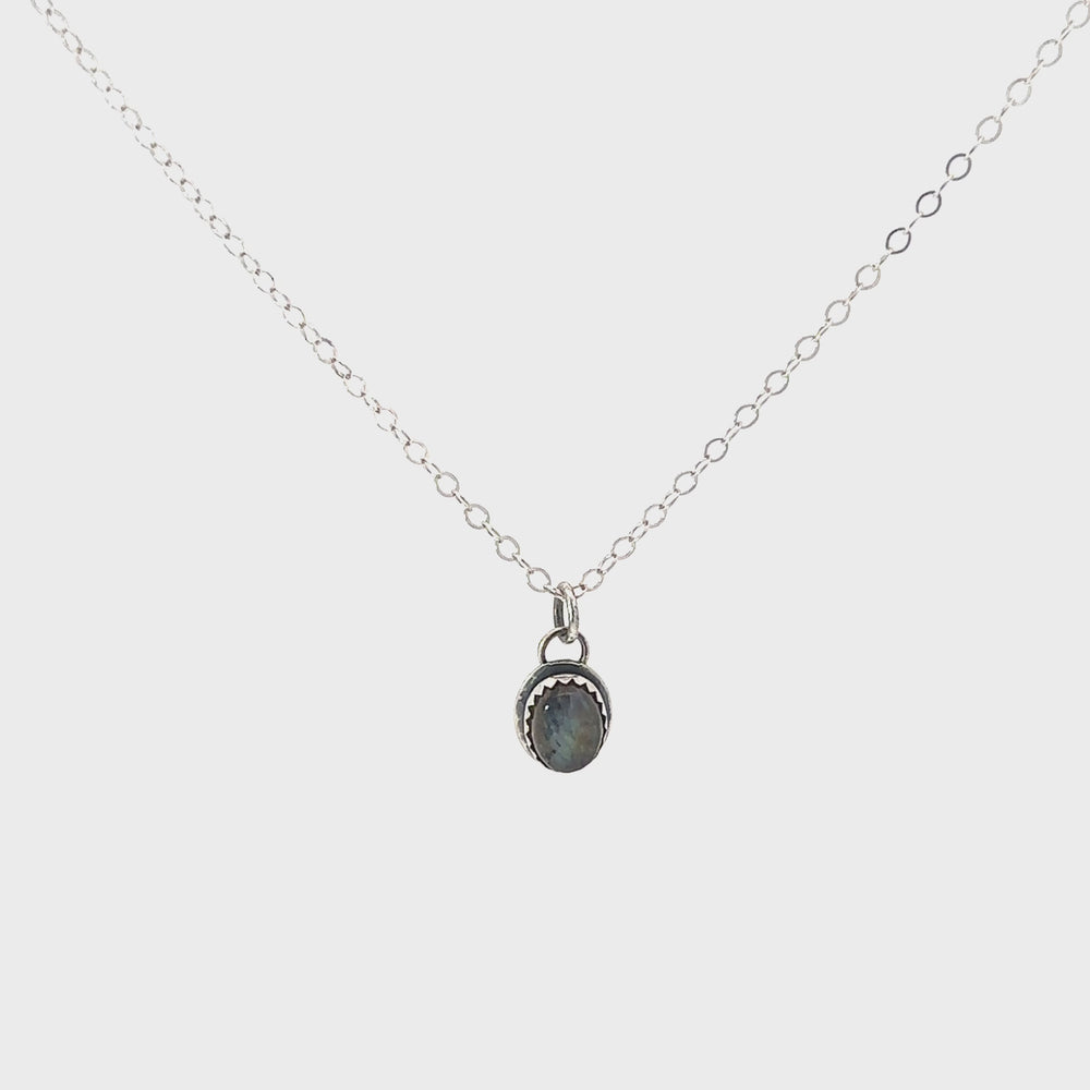
                
                    Load and play video in Gallery viewer, Labradorite Ria necklace in silver video.
                
            